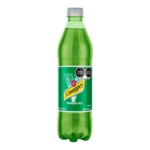 Schweppes Refresco Ginger Ale 600 mL 600mL
