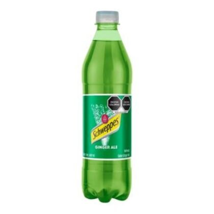 Schweppes Refresco Ginger Ale 600 mL 600mL